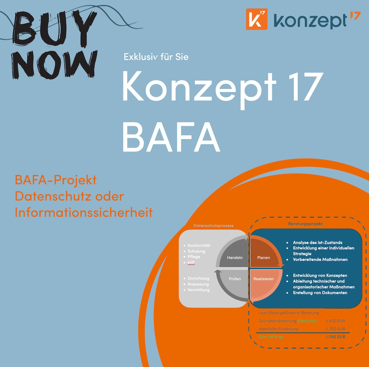 BAFA Beratungsprojekt Datenschutz