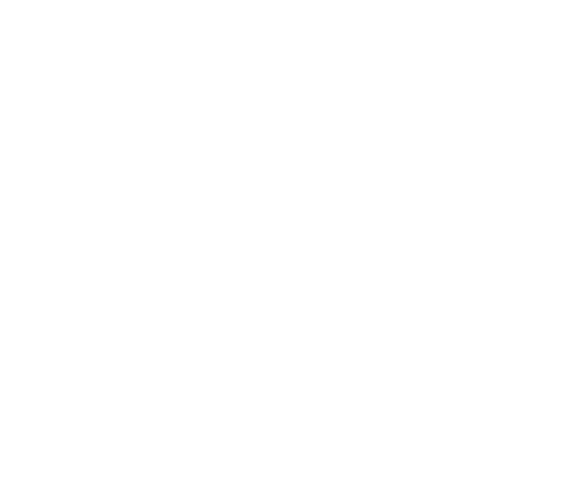 Image Title Alt Image